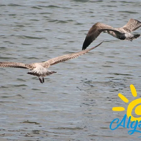 Poco Do Bispo By Algartur Daire *