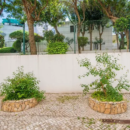 Poco Do Bispo By Algartur