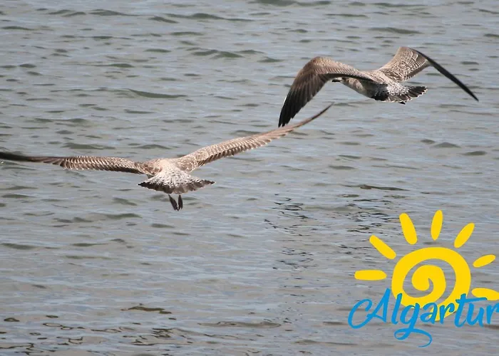 Poco Do Bispo By Algartur Daire *