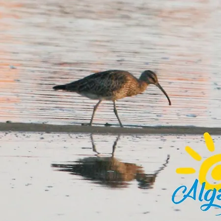 Apartamento Poco Do Bispo By Algartur *