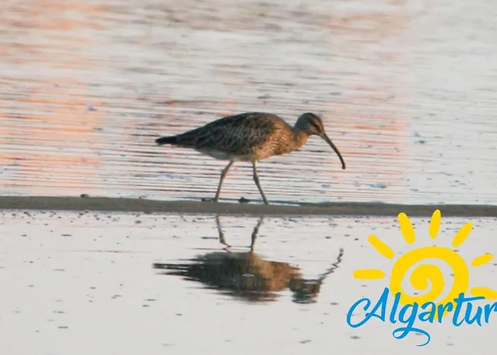 Appartamento Poco Do Bispo By Algartur *