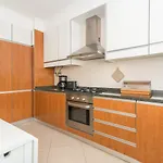 Poco Do Bispo By Algartur